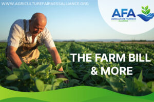 farm-bill Agriculture Fairness Alliance is proud to have been able to kick-off our Farm Bill 2023 Priorities in-person in DC in August! It was an eye-opening trip and was so impactful to be able to represent Vegans for this Farm Bill Season. We feel that having our Board Members join our Lobbyists in-person gives us an undeniable presence and so we will be heading back in late October and again early 2023.